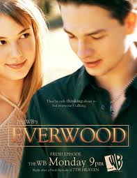 Everwood Season 1 (2002)